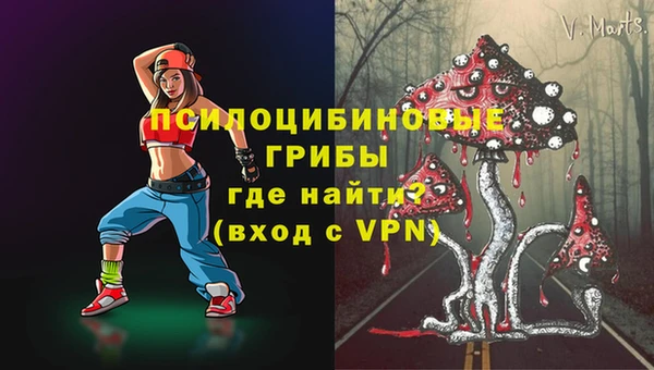 твердый Богданович